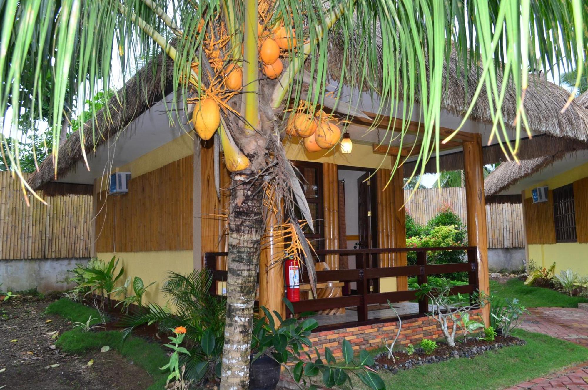Veraneante Resort Panglao Oda fotoğraf