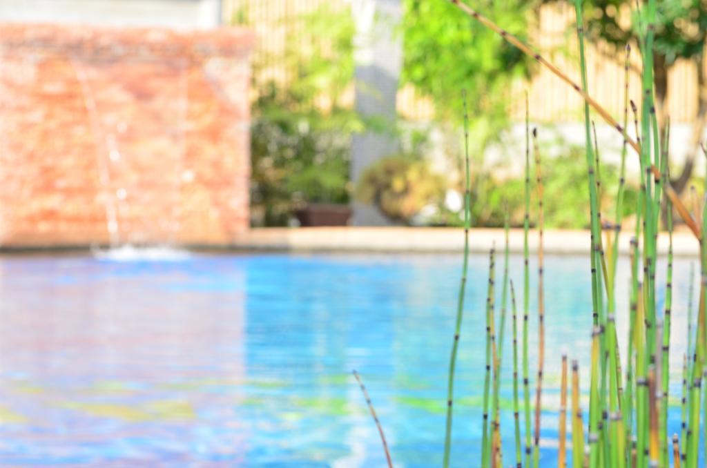 Veraneante Resort Panglao Dış mekan fotoğraf